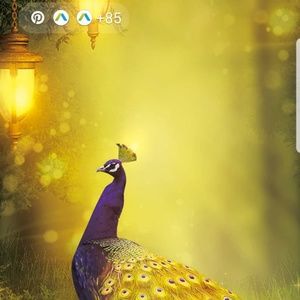 Meet your Posher, Paula